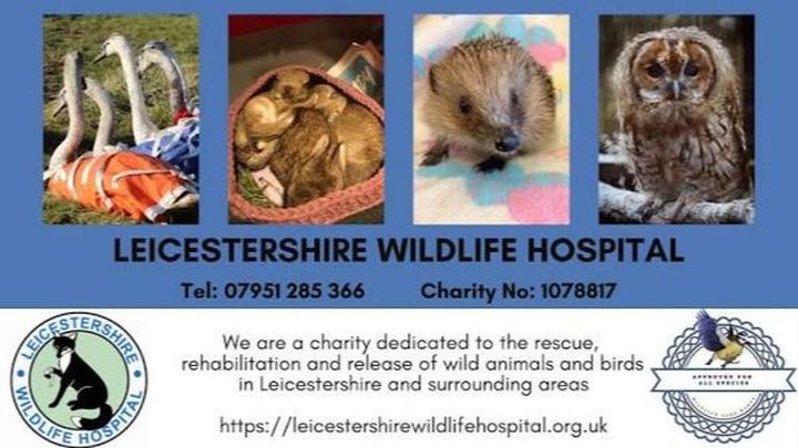 Donate to Help Protect Leicestershire's Local Wildlife campaign photo, 1 of 4