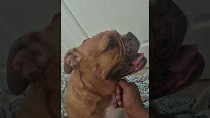 Save Precious: Fund Her Surgery Now video thumbnail, 1 of 7