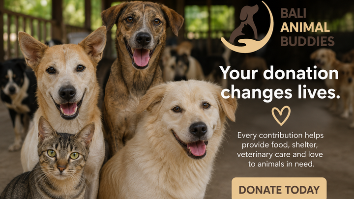 Make A One-Off Donation campaign photo, 1 of 8