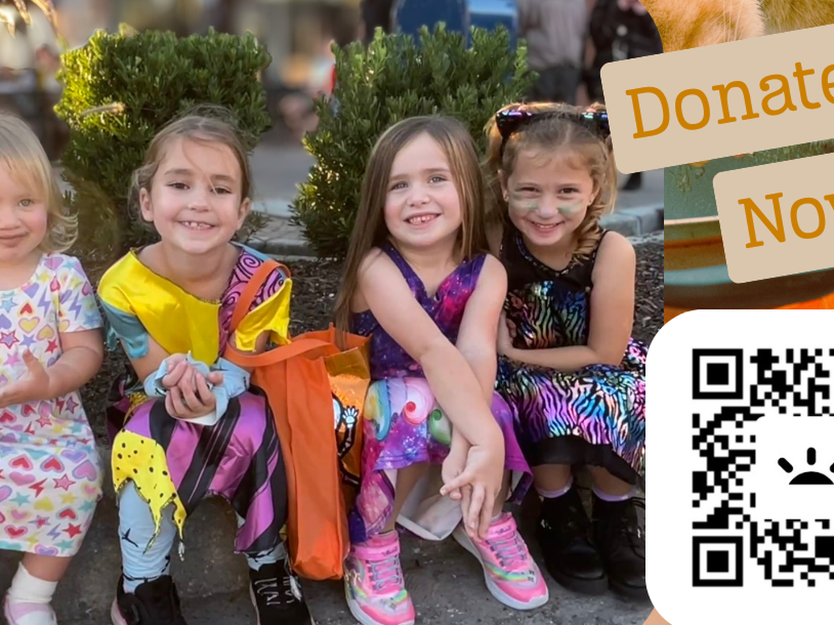 Fundraiser’s main image