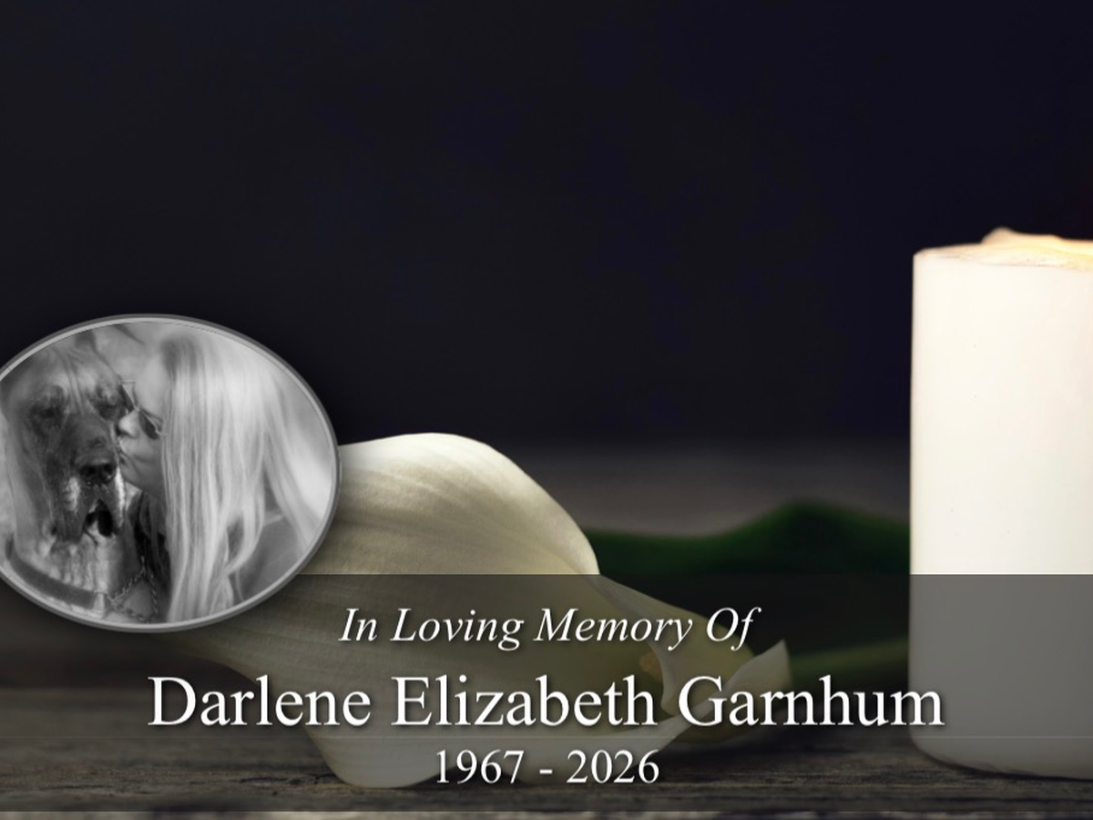 Fundraiser’s main image