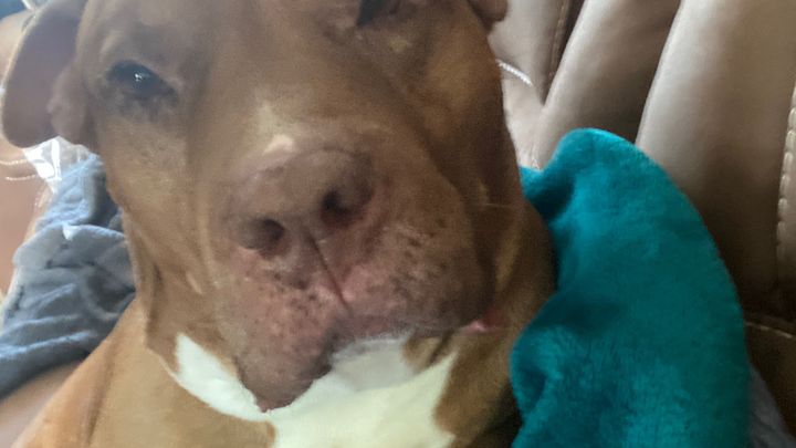 Help get Spike better campaign photo, 1 of 5