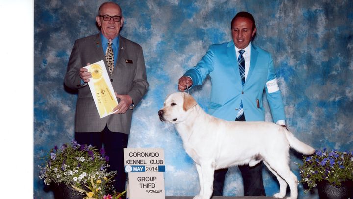 Main fundraiser photo