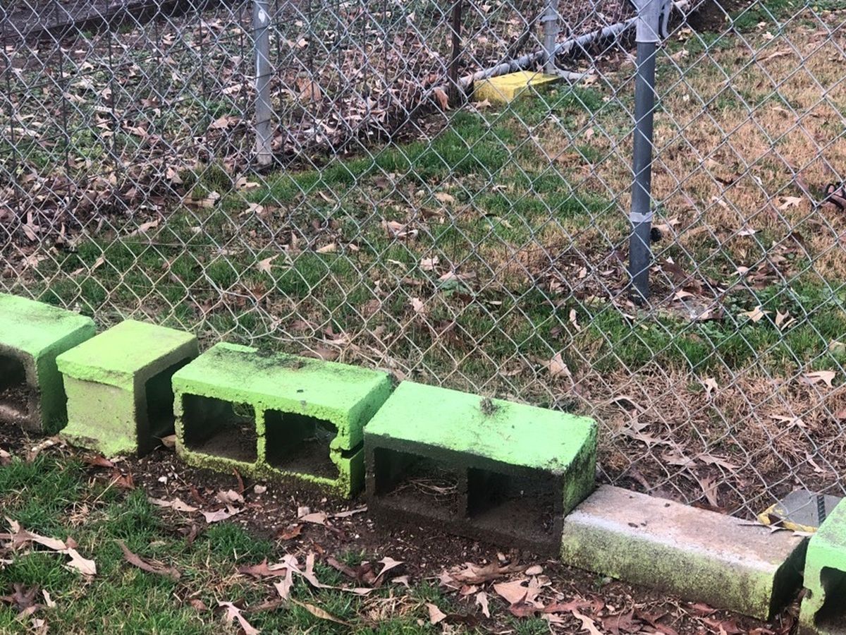 Fundraiser by Marcia Engel : Support needed for dog shelter