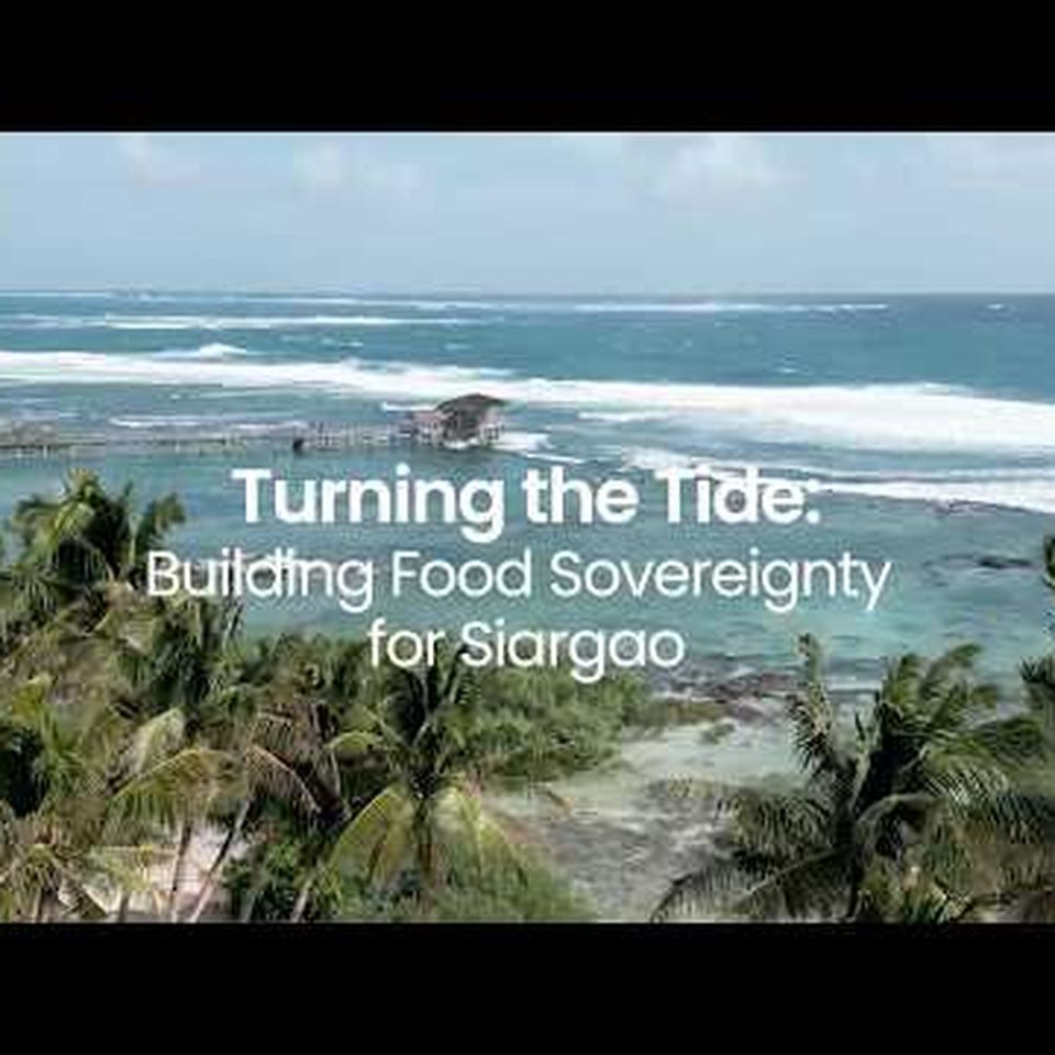 Hope for the Island