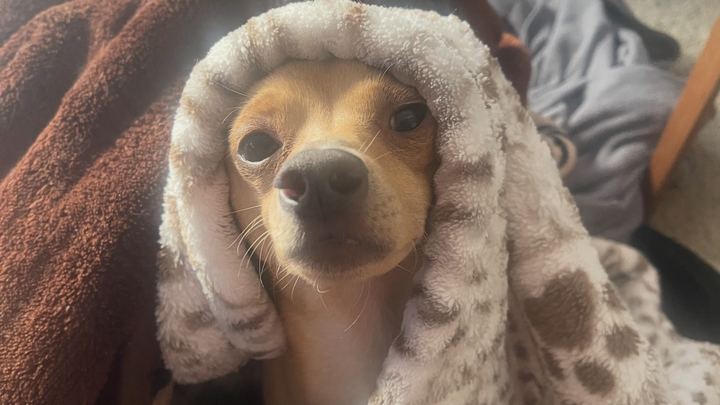 Help Jack Get Life-Saving Surgery campaign photo, 1 of 7