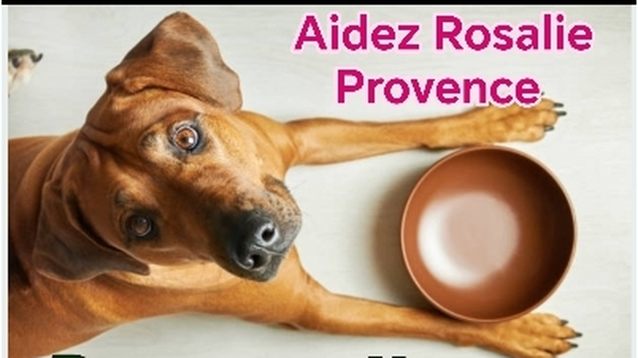 Faire un don pour acheter de la nourriture et médicaments. campaign photo, 1 of 8