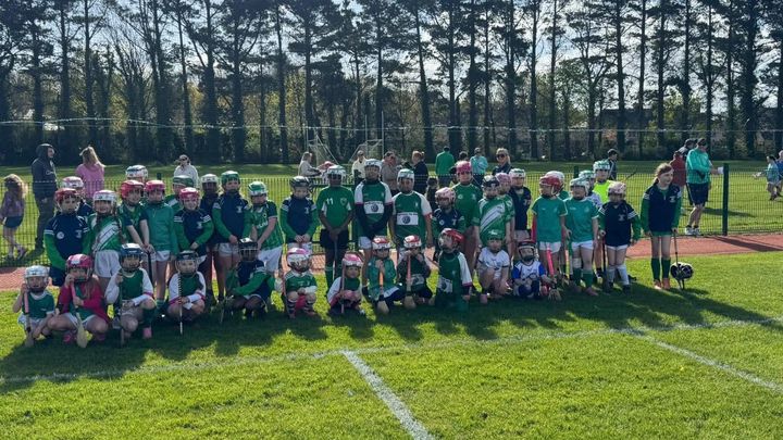 Ferrybank Camogie Club Fundraiser