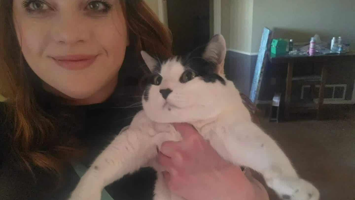Help with vet cost for Chrissys baby Troodle campaign photo, 1 of 4