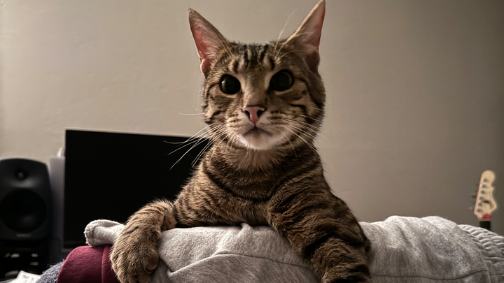 Main fundraiser photo