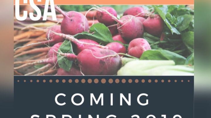 Main fundraiser photo