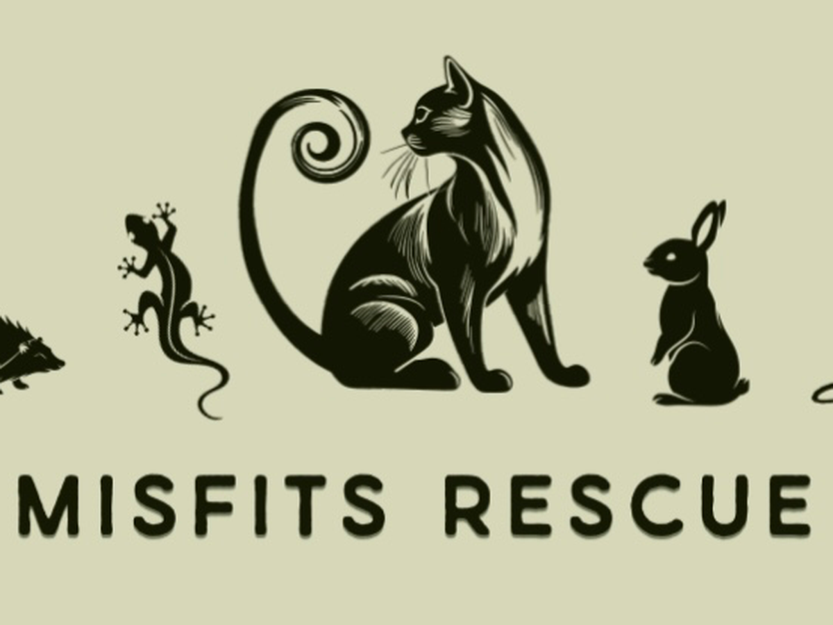 Fundraiser’s main image