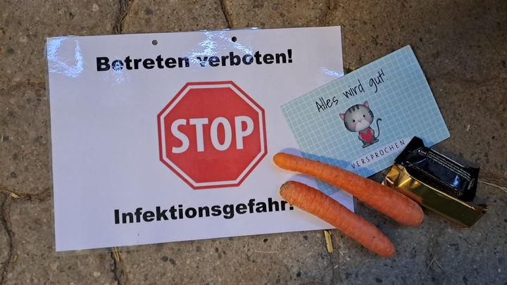 Schulpferde in Löcherholz benötigen Hilfe – Herpesvirus campaign photo, 1 of 4