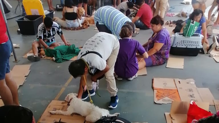 Foto principal de la recaudación de fondos