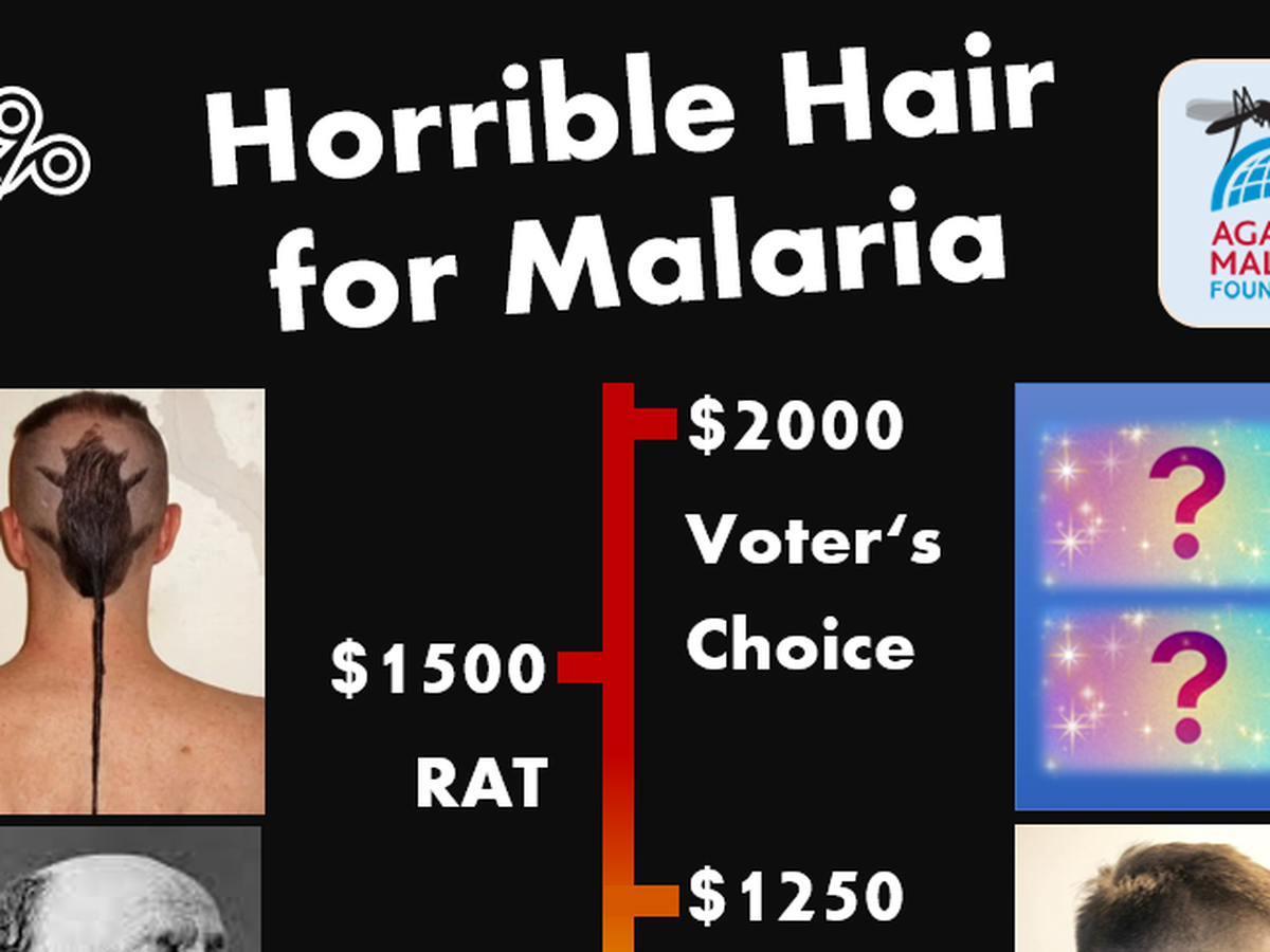 Jake Kilpatrick Fundraiser by Jake Kilpatrick : Horrible Hair for Malaria