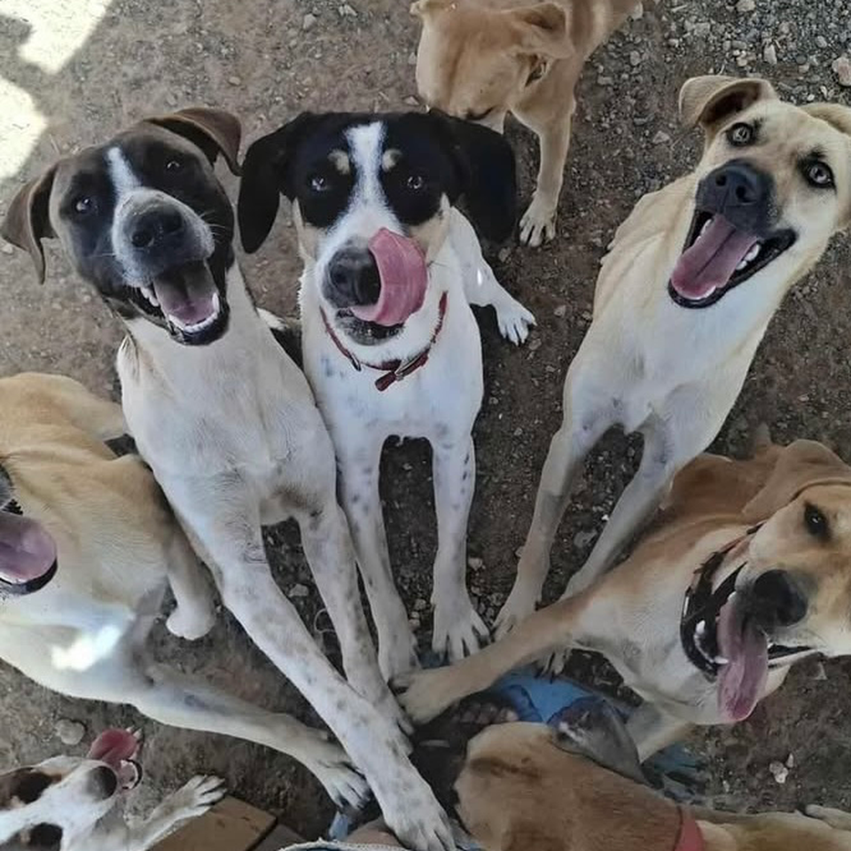 Donativos para a OSPA Cabo Verde