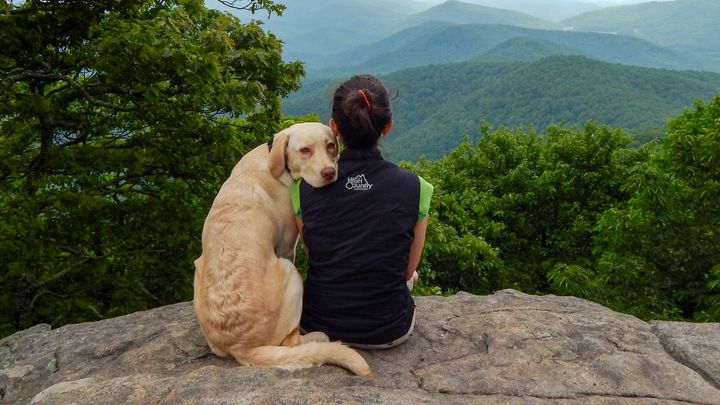 In honor of Aspen, let's help shelter dogs in Gwinnett! campaign photo, 1 of 7