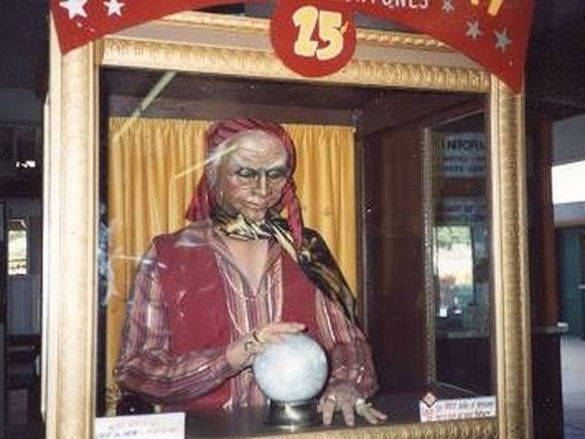 Bring Lazlo the Great Back Home to Indiana Beach campaign photo, 1 of 2