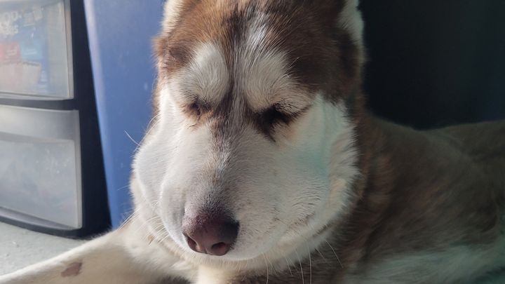 A race to save a best friend turned nightmare