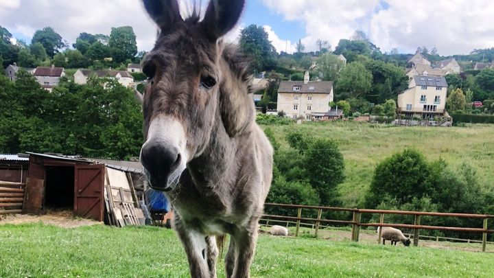 Main fundraiser photo