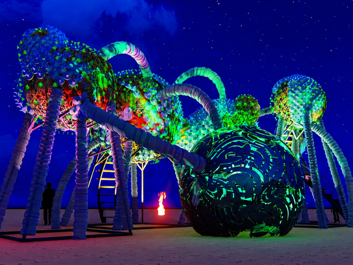Help Build Mebuyan Pulse for Burning Man 2026 campaign photo, 1 of 7