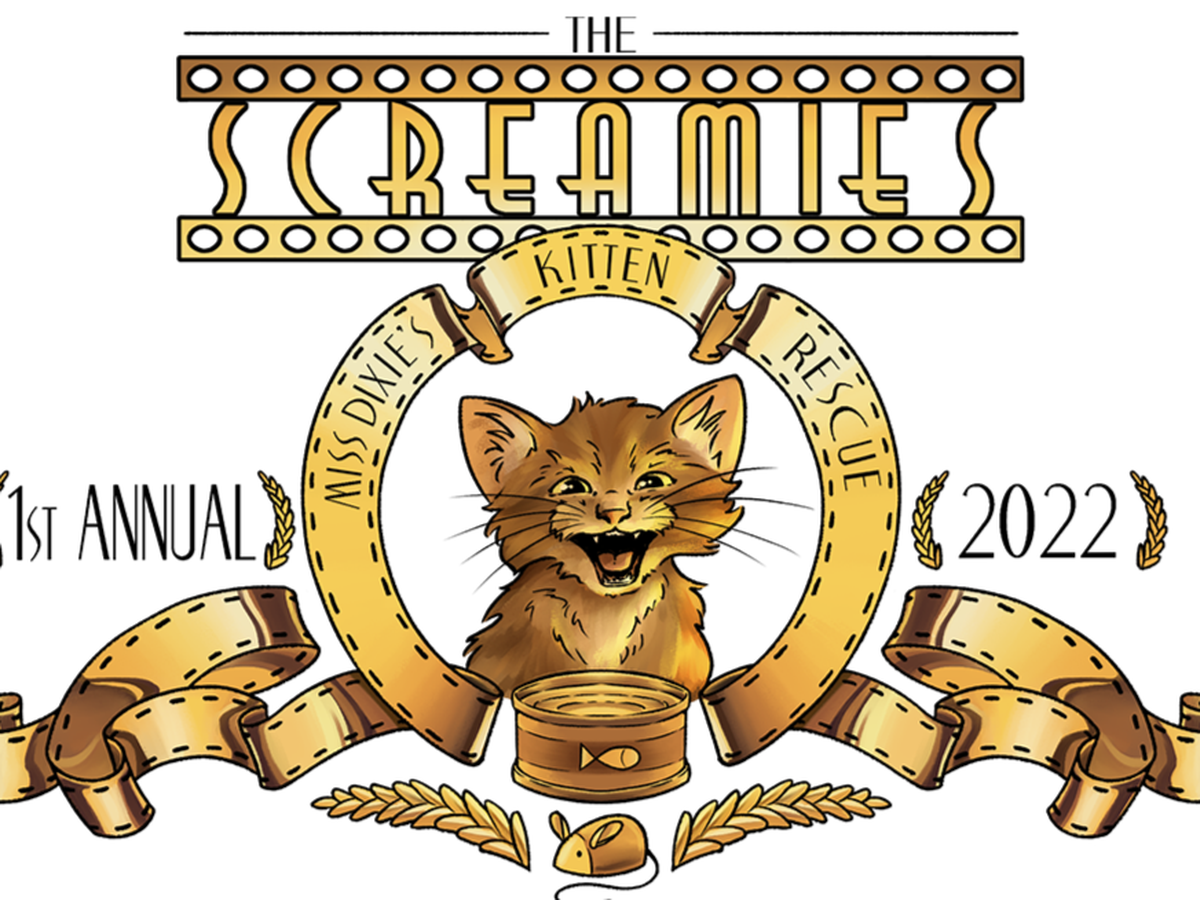 Fundraiser’s main image