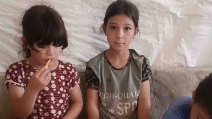 Fundraiser for Fatima's Family in Gaza campaign photo, 1 of 11