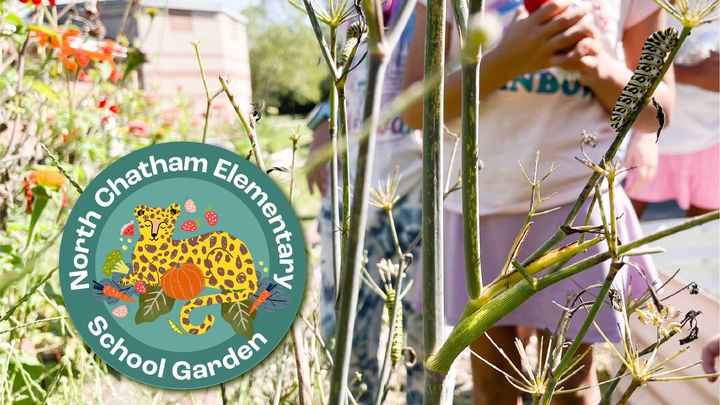 North Chatham School Community Garden campaign photo, 1 of 2