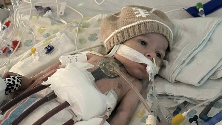 Support Matt and Maria as Marshall Awaits a Heart campaign photo, 1 of 6