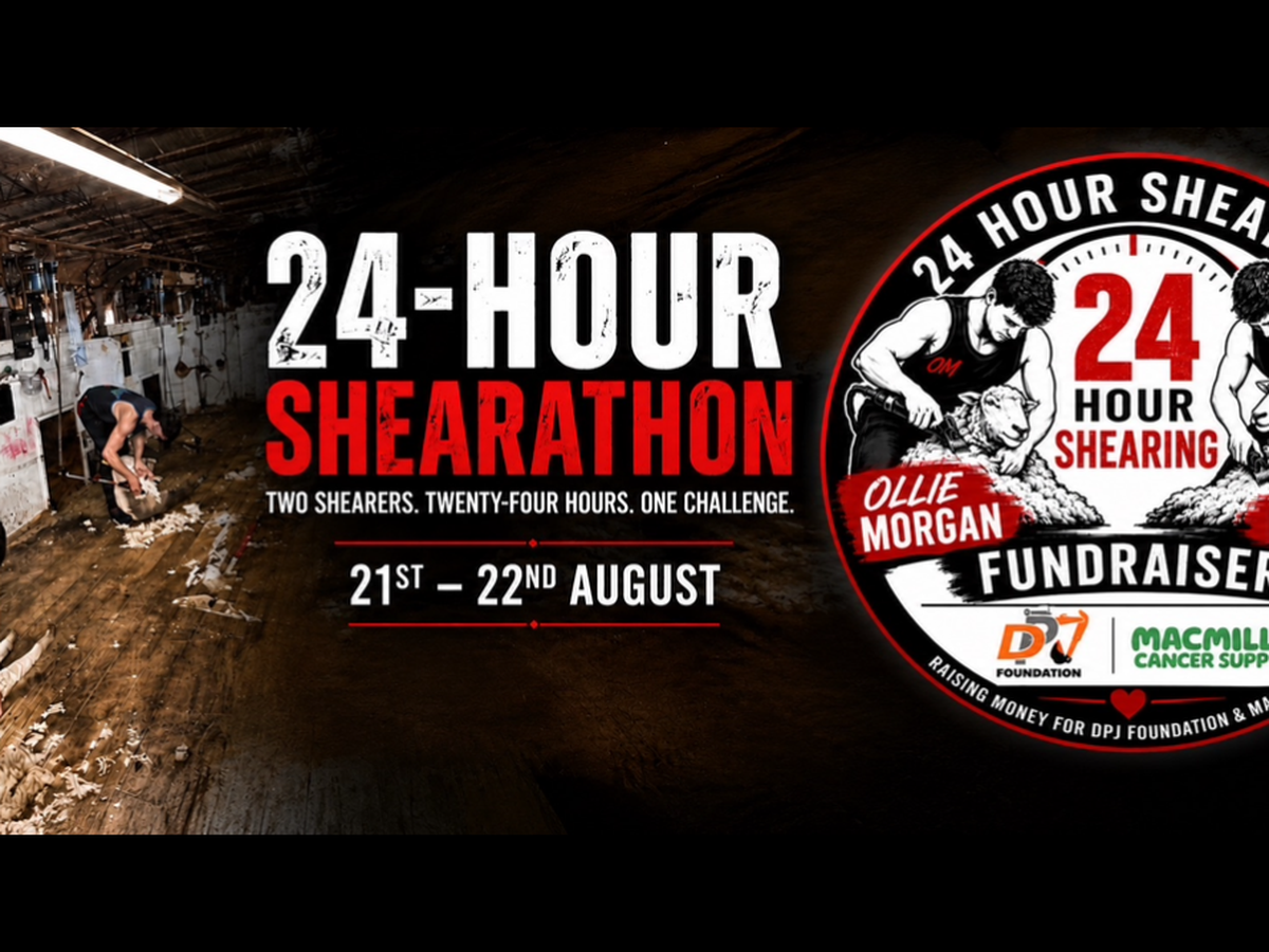 Fundraiser’s main image