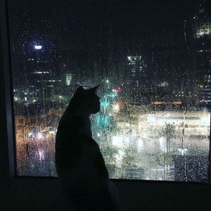 Nar Sad