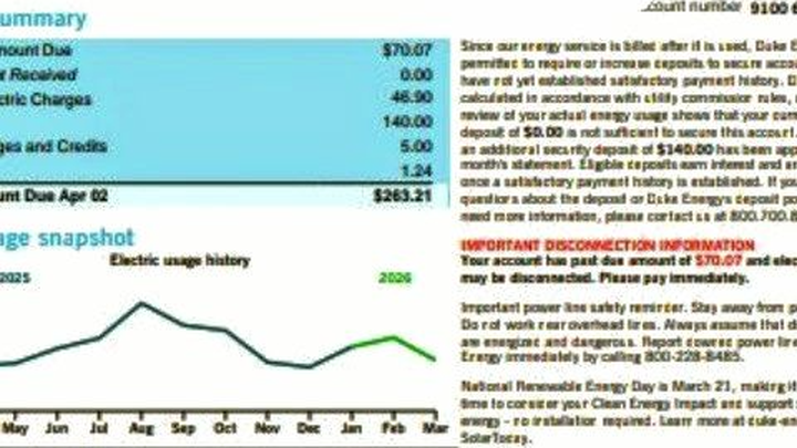 Help K Fight Unfair Duke Energy Charges campaign photo, 1 of 3