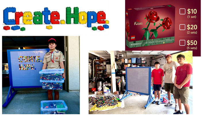 Donate to Landon's Lego Wall Eagle Project campaign photo, 1 of 3