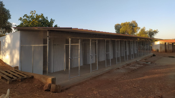 OBRAS NO CANIL DA SOS DOS ANIMAIS DE MOURA campaign photo, 1 of 8