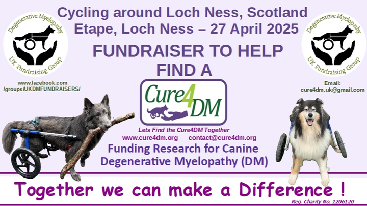 Main fundraiser photo