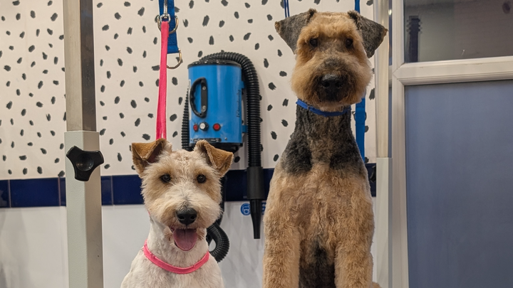 Our Dog Grooming Shop was vandalised, please help us fix it! campaign photo, 1 of 5