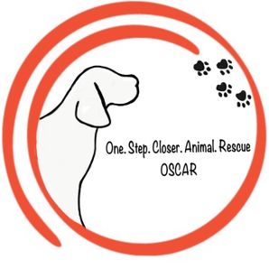 Cassie Kowalchuk, Director of One Step Closer Animal Rescue (OSCAR)