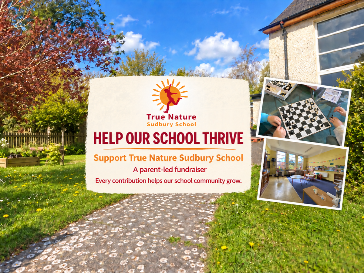 Fundraiser’s main image