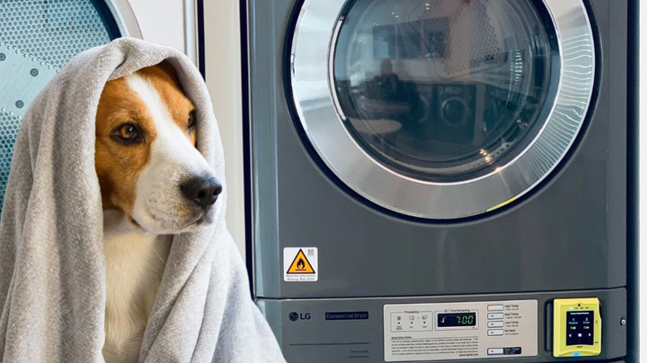A commercial washer and dryer for Animal Aid in Sale campaign photo, 1 of 3