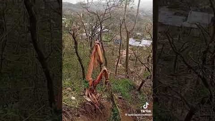 Rebuild Hope, Help Restore Jamaica! video thumbnail, 1 of 3
