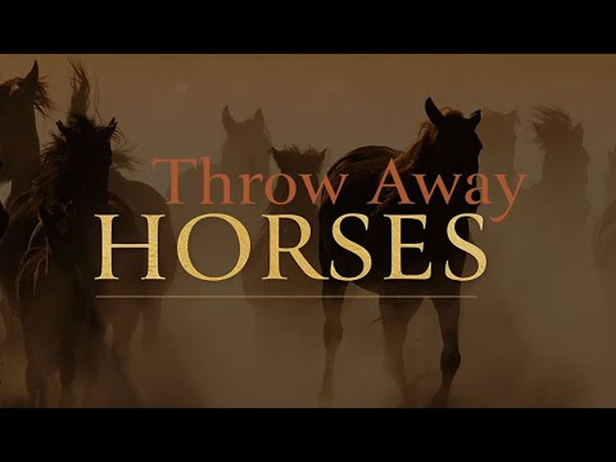Fundraiser’s main image