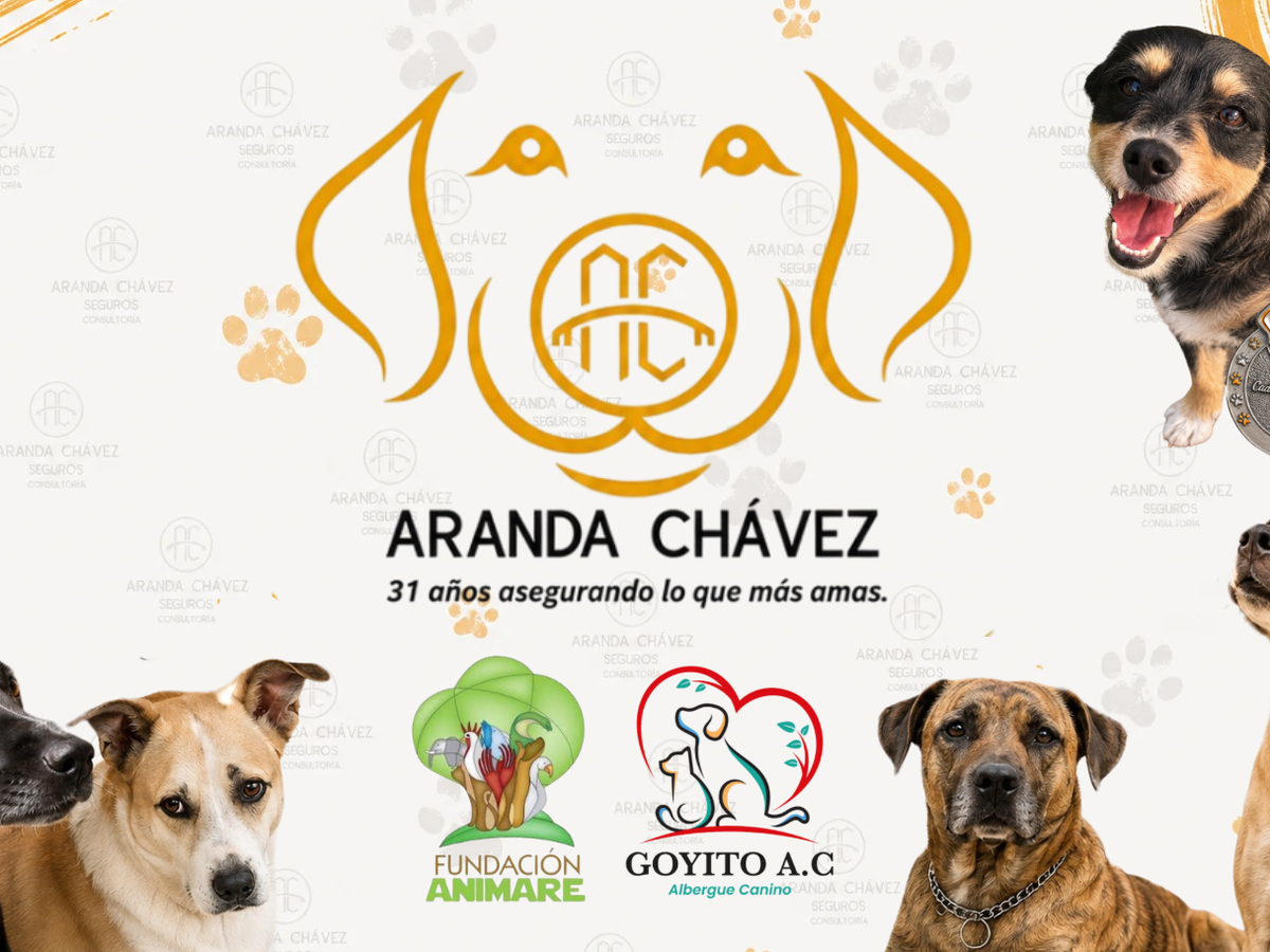 Fundraiser’s main image