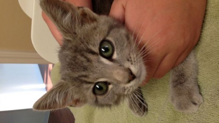 Main fundraiser photo