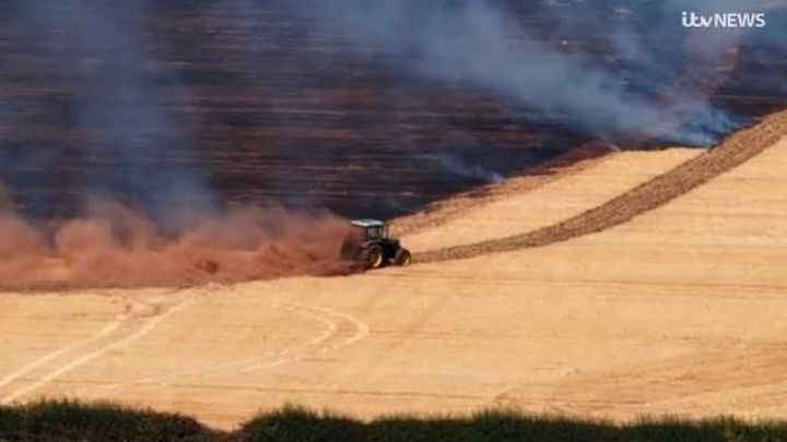 Supporting the Farmers of the Stourbridge Wildfires campaign photo, 1 of 8