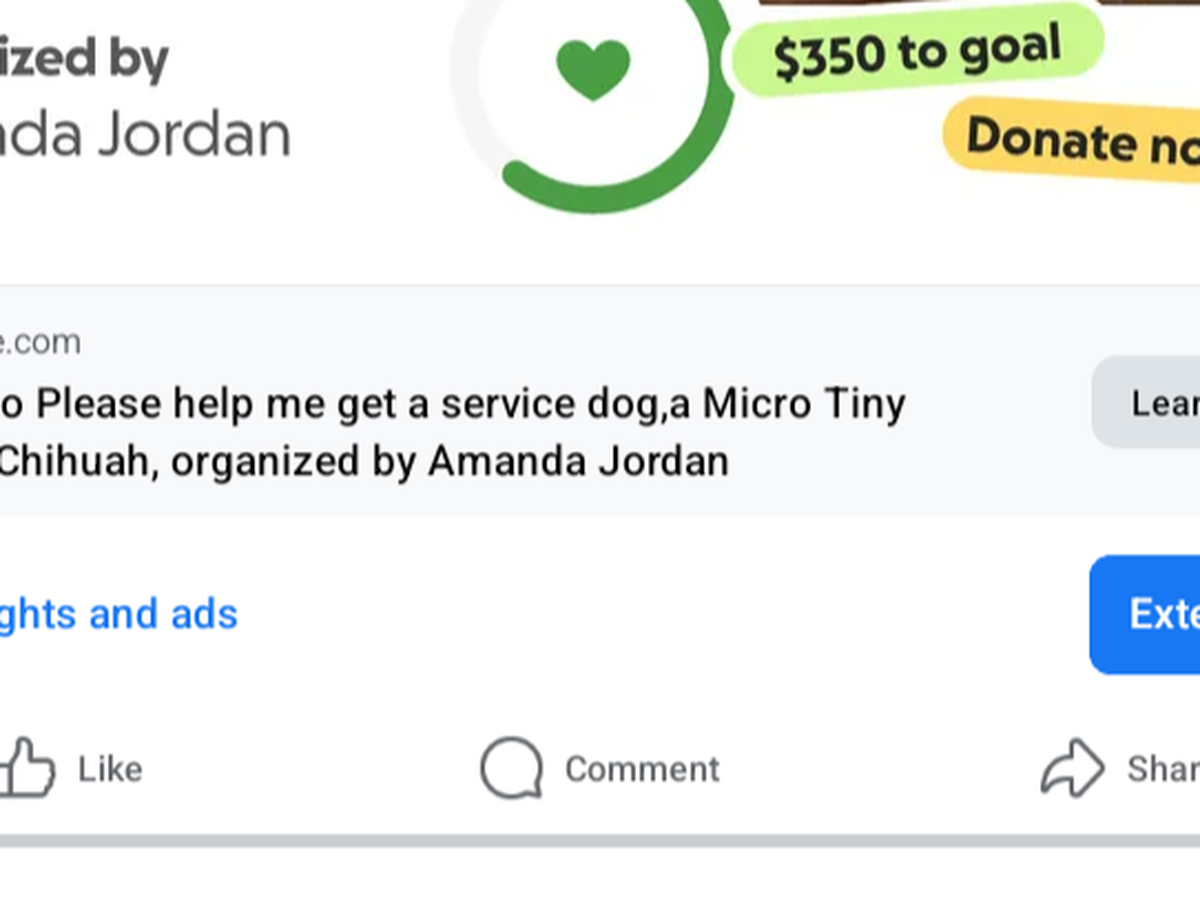 Fundraiser’s main image