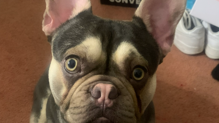 My best friend’s recovery