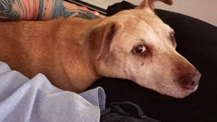 Axl's Journey: Chase is Dying From Cancer on Tuesday at 5:30 campaign photo, 1 of 8