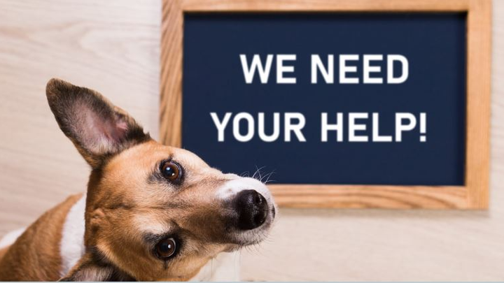 Pies for Paws! campaign photo, 1 of 3