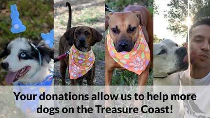 Main fundraiser photo