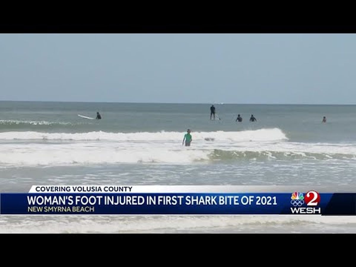 Campana Para Adrienne Wikso De Daniel Hanson Adrienne Wikso Shark Attack New Smyrna Beach